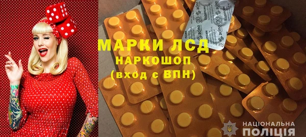 шишки Баксан