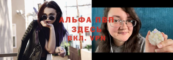 шишки Баксан