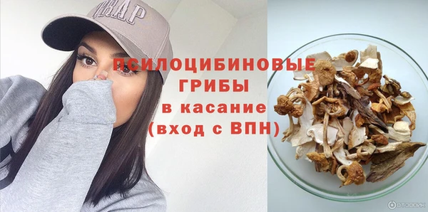 шишки Баксан