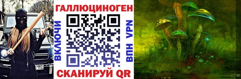 Псилоцибиновые грибы Psilocybe где продают Заозёрск